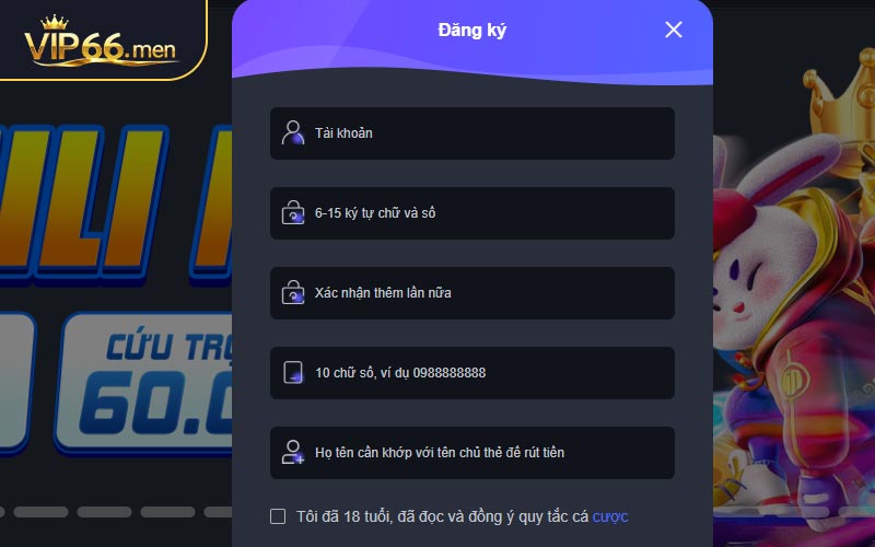 Đăng Ký VIP66 - Điền vào biểu mẫu