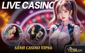Casino VIP66 - Trải Nghiệm Sòng Bạc Trực Tuyến Đỉnh Cao