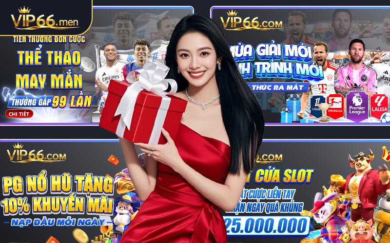 Tổng Quan Về Khuyến Mãi VIP66