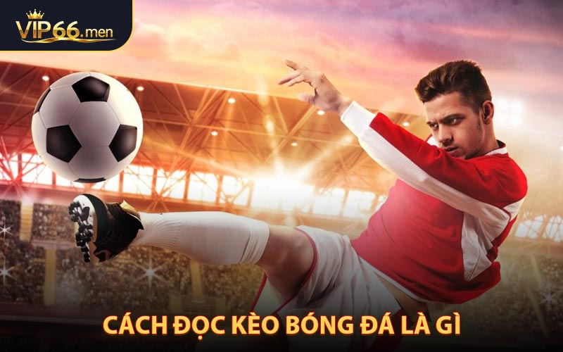 Đọc kèo bóng đá là như thế nào?